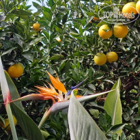 фото из отзыва ID 2742444