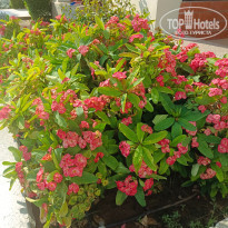 фото из отзыва ID 2742467