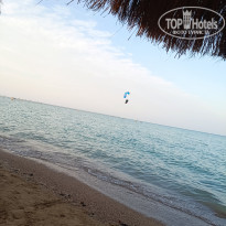 фото из отзыва ID 2742467