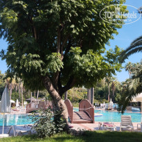 фото из отзыва ID 2742471