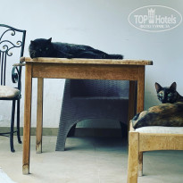 фото из отзыва ID 2742470