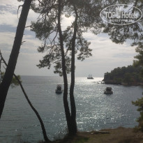 фото из отзыва ID 2742498