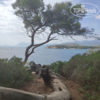 фото из отзыва ID 2742498