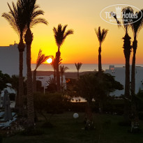 фото из отзыва ID 2742504