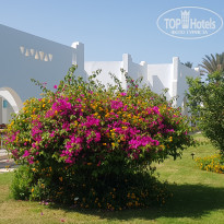 фото из отзыва ID 2742504