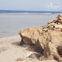 фото из отзыва ID 2742504