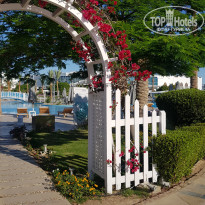 фото из отзыва ID 2742504