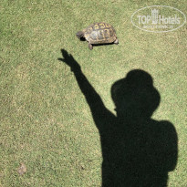 фото из отзыва ID 2742547