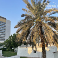 фото из отзыва ID 2742556