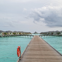 фото из отзыва ID 2742567