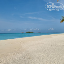 фото из отзыва ID 2742567