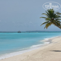 фото из отзыва ID 2742567