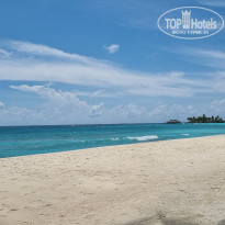 фото из отзыва ID 2742567