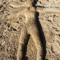 фото из отзыва ID 2742620