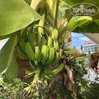 фото из отзыва ID 2742631