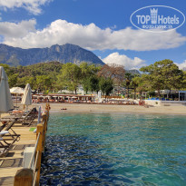 фото из отзыва ID 2742629