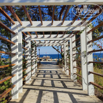 фото из отзыва ID 2742629