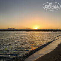 фото из отзыва ID 2742649