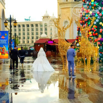 фото из отзыва ID 2742650