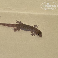 фото из отзыва ID 2742532