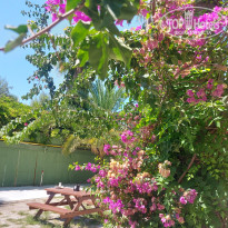 фото из отзыва ID 2742672