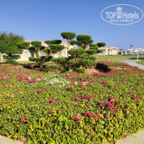 фото из отзыва ID 2742678