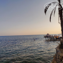 фото из отзыва ID 2742678