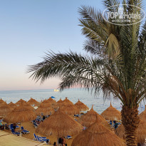 фото из отзыва ID 2742678