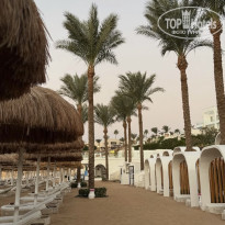 фото из отзыва ID 2742692