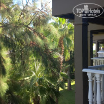 фото из отзыва ID 2742691