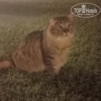 фото из отзыва ID 2742691