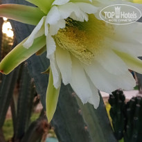 фото из отзыва ID 2742681