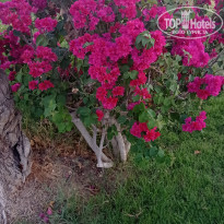 фото из отзыва ID 2742681