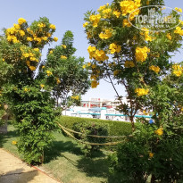 фото из отзыва ID 2742681