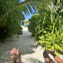 фото из отзыва ID 2742711