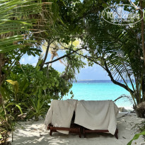 фото из отзыва ID 2742711