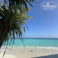 фото из отзыва ID 2742711