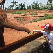 фото из отзыва ID 2742713