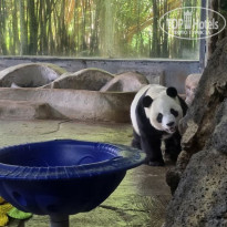 фото из отзыва ID 2742713