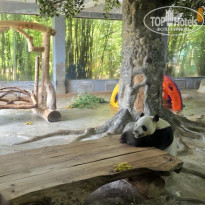 фото из отзыва ID 2742713