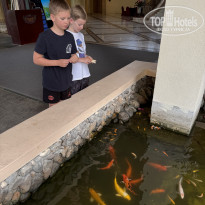 фото из отзыва ID 2742713