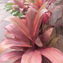 фото из отзыва ID 2742741