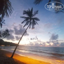 фото из отзыва ID 2742741