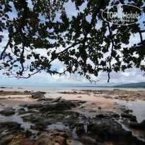 фото из отзыва ID 2742741