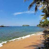 фото из отзыва ID 2742744