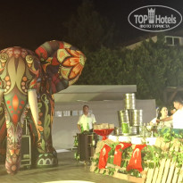 фото из отзыва ID 2742763