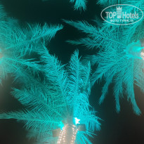 фото из отзыва ID 2742774