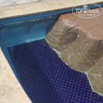 фото из отзыва ID 2742774