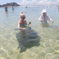 фото из отзыва ID 2742791