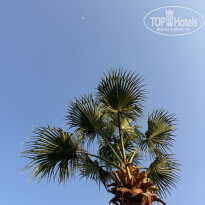 фото из отзыва ID 2742800